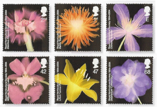 2004 GB - SG2456-61 Royal Horticultural Society Comm Set (6) MNH